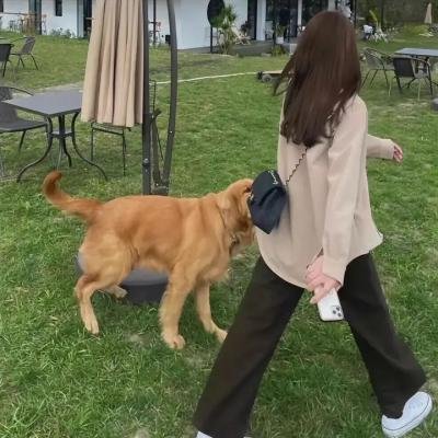 孤独的人